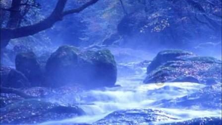 逃离野丛之森